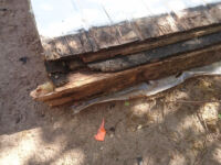 Renovering markfuktskadat suterränghus