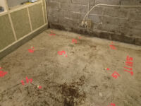 Renovering markfuktskadat suterränghus