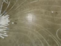 Renovering markfuktskadat suterränghus